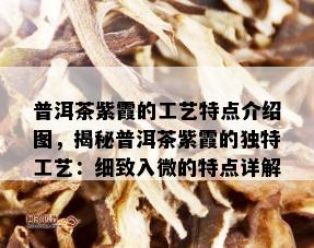 普洱茶紫霞的工艺特点介绍图，揭秘普洱茶紫霞的独特工艺：细致入微的特点详解