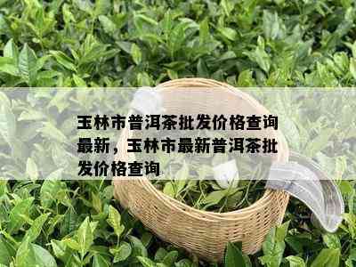 玉林市普洱茶批发价格查询最新，玉林市最新普洱茶批发价格查询