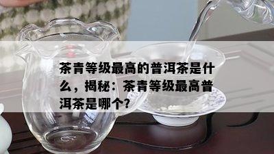 茶青等级更高的普洱茶是什么，揭秘：茶青等级更高普洱茶是哪个？