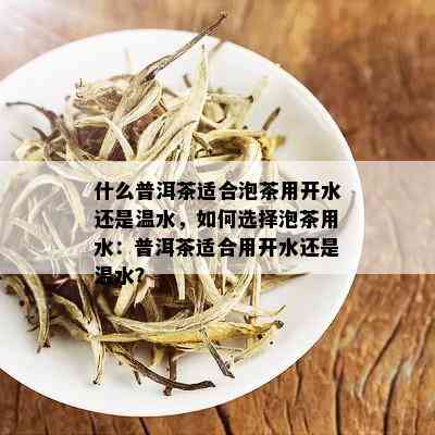 什么普洱茶适合泡茶用开水还是温水，如何选择泡茶用水：普洱茶适合用开水还是温水？