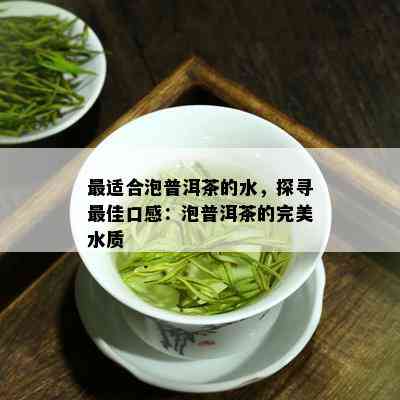 最适合泡普洱茶的水，探寻更佳口感：泡普洱茶的完美水质