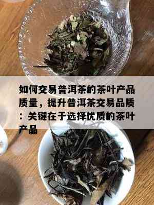 如何交易普洱茶的茶叶产品质量，提升普洱茶交易品质：关键在于选择优质的茶叶产品