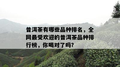 普洱茶有哪些品种排名，全网更受欢迎的普洱茶品种排行榜，你喝对了吗？