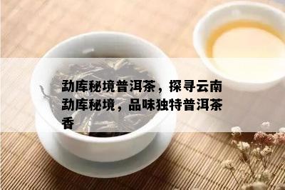 勐库秘境普洱茶，探寻云南勐库秘境，品味独特普洱茶香