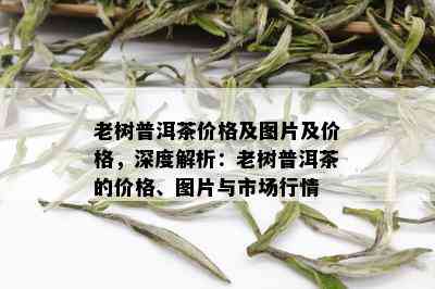 老树普洱茶价格及图片及价格，深度解析：老树普洱茶的价格、图片与市场行情