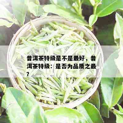 普洱茶特级是不是更好，普洱茶特级：是否为品质之最？