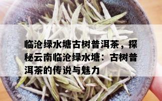 临沧绿水塘古树普洱茶，探秘云南临沧绿水塘：古树普洱茶的传说与魅力