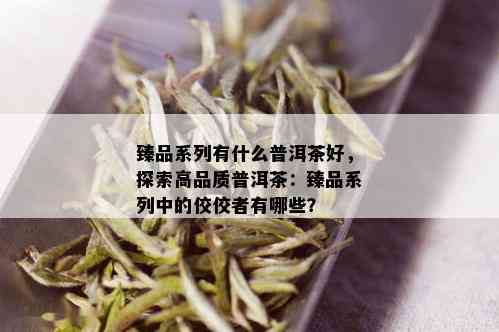 臻品系列有什么普洱茶好，探索高品质普洱茶：臻品系列中的佼佼者有哪些？