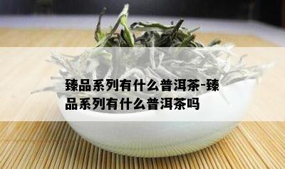 臻品系列有什么普洱茶-臻品系列有什么普洱茶吗