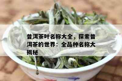 普洱茶叶名称大全，探索普洱茶的世界：全品种名称大揭秘