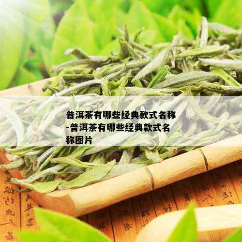 普洱茶有哪些经典款式名称-普洱茶有哪些经典款式名称图片