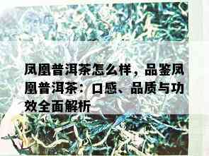 凤凰普洱茶怎么样，品鉴凤凰普洱茶：口感、品质与功效全面解析