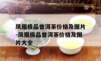 凤凰极品普洱茶价格及图片-凤凰极品普洱茶价格及图片大全