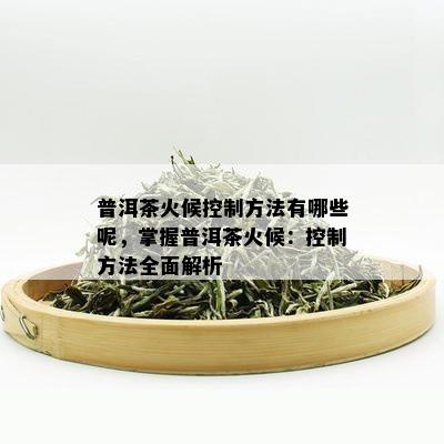 普洱茶火候控制方法有哪些呢，掌握普洱茶火候：控制方法全面解析