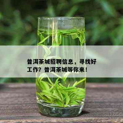 普洱茶城招聘信息，寻找好工作？普洱茶城等你来！