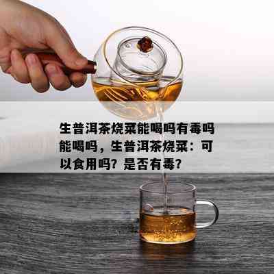 生普洱茶烧菜能喝吗有吗能喝吗，生普洱茶烧菜：可以食用吗？是否有？