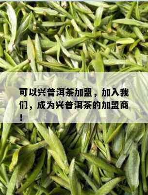 可以兴普洱茶加盟，加入我们，成为兴普洱茶的加盟商！