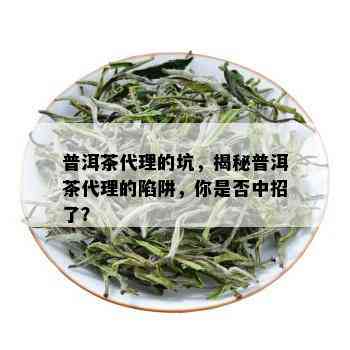 普洱茶代理的坑，揭秘普洱茶代理的陷阱，你是否中招了？