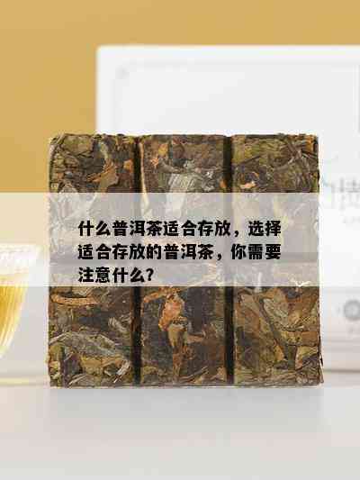 什么普洱茶适合存放，选择适合存放的普洱茶，你需要注意什么？