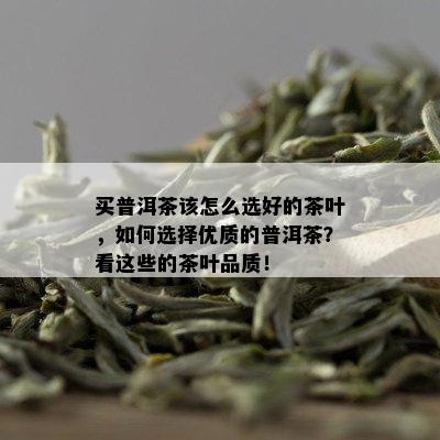 买普洱茶该怎么选好的茶叶，如何选择优质的普洱茶？看这些的茶叶品质！