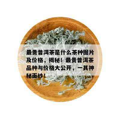 最贵普洱茶是什么茶种图片及价格，揭秘！最贵普洱茶品种与价格大公开，一其神秘面纱！