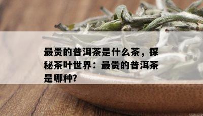 最贵的普洱茶是什么茶，探秘茶叶世界：最贵的普洱茶是哪种？