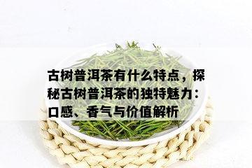 古树普洱茶有什么特点，探秘古树普洱茶的独特魅力：口感、香气与价值解析