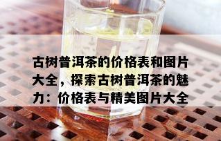 古树普洱茶的价格表和图片大全，探索古树普洱茶的魅力：价格表与精美图片大全