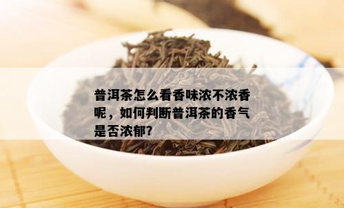 普洱茶怎么看香味浓不浓香呢，如何判断普洱茶的香气是否浓郁？