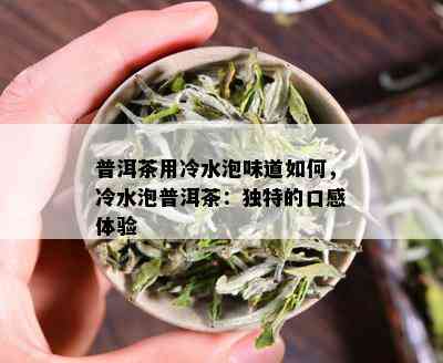 普洱茶用冷水泡味道如何，冷水泡普洱茶：独特的口感体验