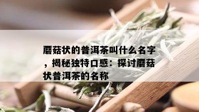 蘑菇状的普洱茶叫什么名字，揭秘独特口感：探讨蘑菇状普洱茶的名称