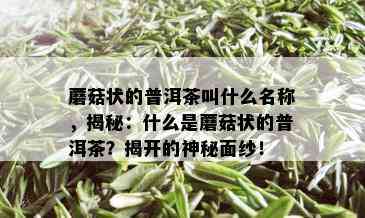 蘑菇状的普洱茶叫什么名称，揭秘：什么是蘑菇状的普洱茶？揭开的神秘面纱！