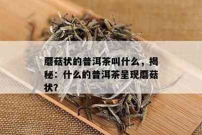 蘑菇状的普洱茶叫什么，揭秘：什么的普洱茶呈现蘑菇状？