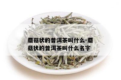 蘑菇状的普洱茶叫什么-蘑菇状的普洱茶叫什么名字