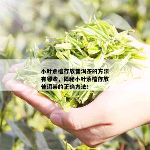 小叶紫檀存放普洱茶的方法有哪些，揭秘小叶紫檀存放普洱茶的正确方法！