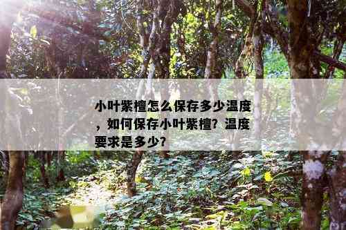 小叶紫檀怎么保存多少温度，如何保存小叶紫檀？温度要求是多少？