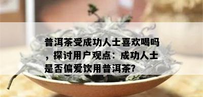 普洱茶受成功人士喜欢喝吗，探讨用户观点：成功人士是否偏爱饮用普洱茶？