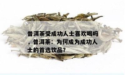 普洱茶受成功人士喜欢喝吗，普洱茶：为何成为成功人士的首选饮品？