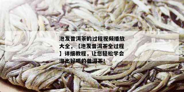 泡发普洱茶的过程视频播放大全，【泡发普洱茶全过程】详细教程，让您轻松学会泡出好喝的普洱茶！