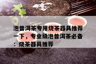 泡普洱茶专用烧茶器具推荐一下，专业级泡普洱茶必备：烧茶器具推荐