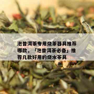 泡普洱茶专用烧茶器具推荐哪款，「泡普洱茶必备」推荐几款好用的烧水茶具