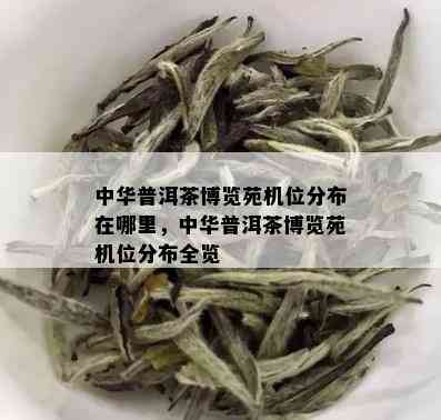 中华普洱茶博览苑机位分布在哪里，中华普洱茶博览苑机位分布全览