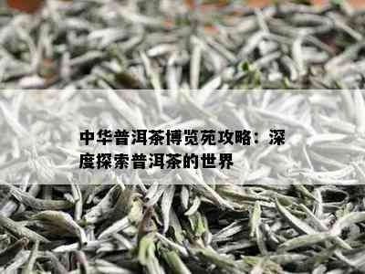 中华普洱茶博览苑攻略：深度探索普洱茶的世界