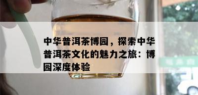 中华普洱茶博园，探索中华普洱茶文化的魅力之旅：博园深度体验