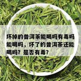 坏掉的普洱茶能喝吗有吗能喝吗，坏了的普洱茶还能喝吗？是否有？