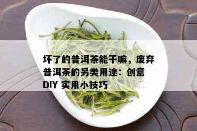 坏了的普洱茶能干嘛，废弃普洱茶的另类用途：创意 DIY 实用小技巧