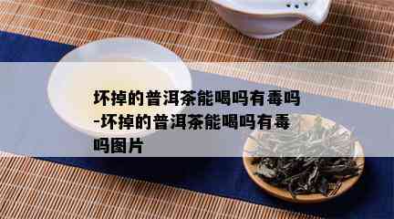 坏掉的普洱茶能喝吗有吗-坏掉的普洱茶能喝吗有吗图片