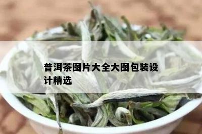 普洱茶图片大全大图包装设计精选