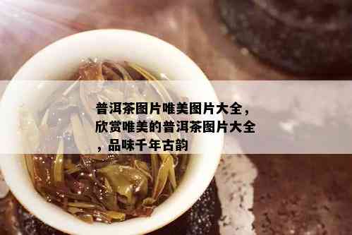 普洱茶图片唯美图片大全，欣赏唯美的普洱茶图片大全，品味千年古韵