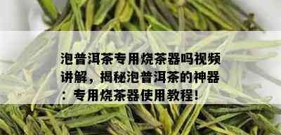 泡普洱茶专用烧茶器吗视频讲解，揭秘泡普洱茶的神器：专用烧茶器使用教程！